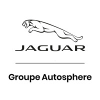 JAGUAR PARIS 19 (logo)